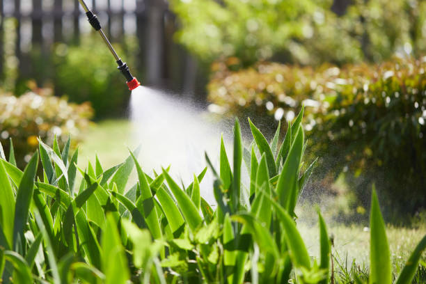 24/7 Emergency Mosquito Control experts in Paoli, PA